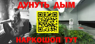 альфа пвп Волгодонск